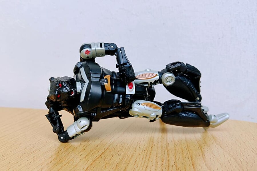MORE Transformers Agent Ravage Images Cheetor Compared  (29 of 67)